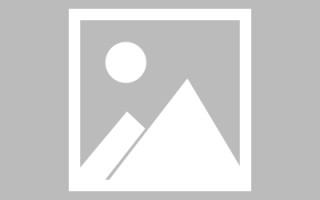 东方网站建设和维护待遇（网站建设与维护总结）